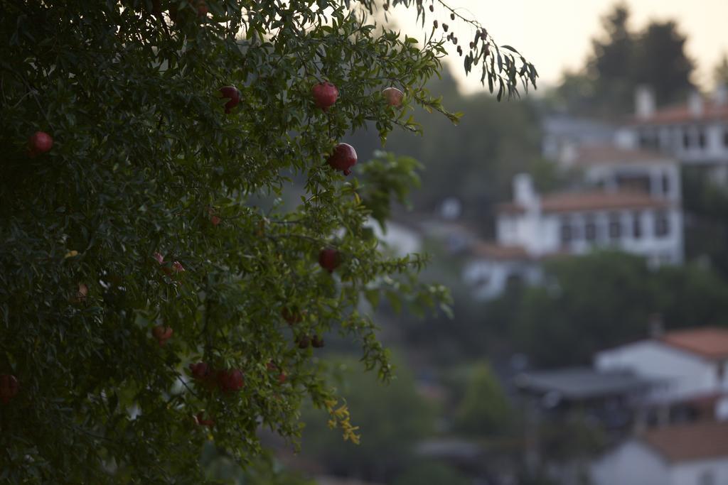 Nisanyan Hotel Selçuk Bagian luar foto