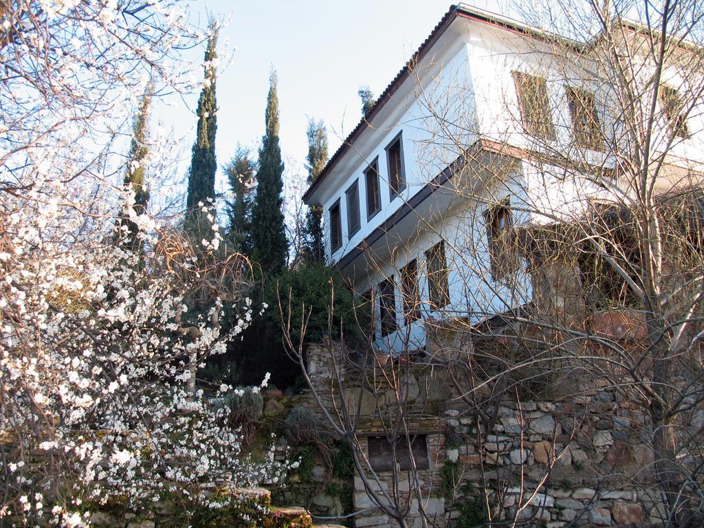 Nisanyan Hotel Selçuk Bagian luar foto