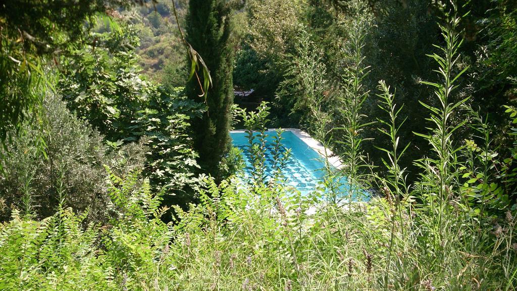 Nisanyan Hotel Selçuk Bagian luar foto