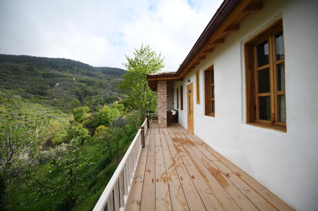 Nisanyan Hotel Selçuk Bagian luar foto